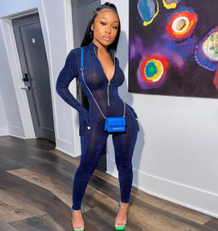 Sheer Zip up  jumpsuit