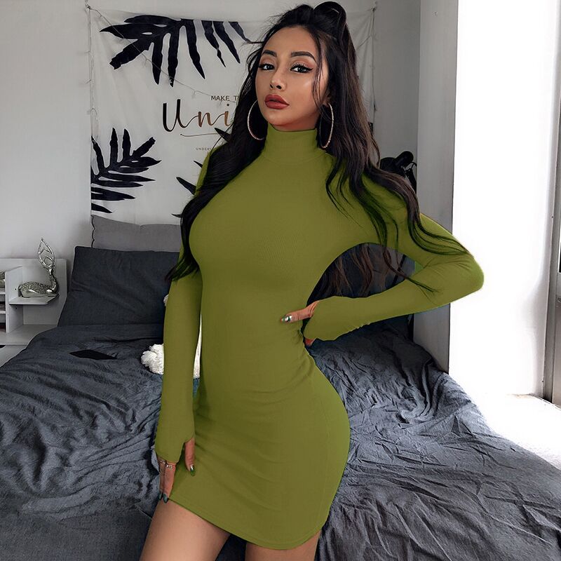 Long Sleeve Turtleneck Dress