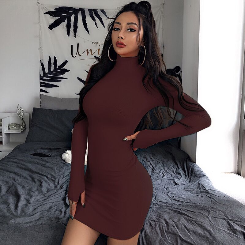 Long Sleeve Turtleneck Dress