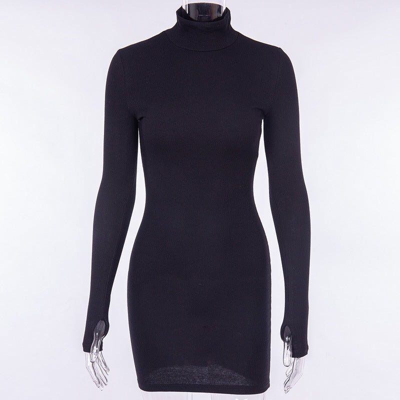Long Sleeve Turtleneck Dress