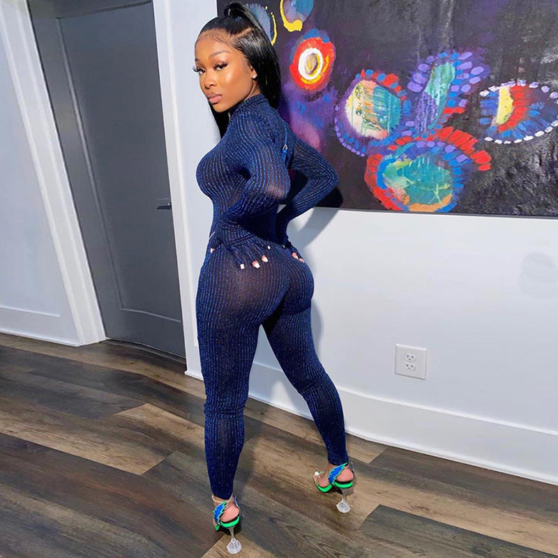 Sheer Zip up  jumpsuit